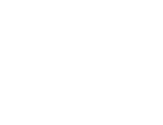 Ducks